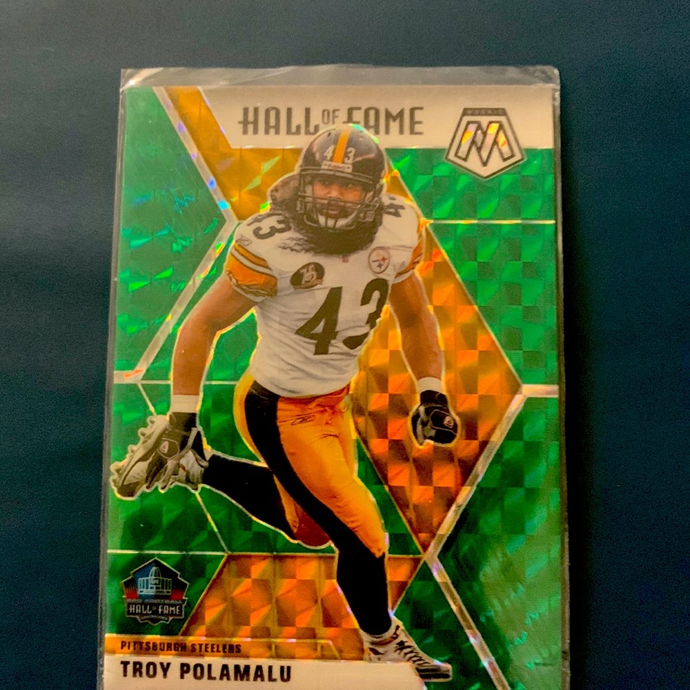 Troy polamalu